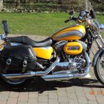 2005 Harley Davidson Sportster Custom